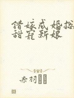 错嫁成婚总裁的甜宠新娘