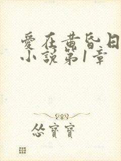 爱在黄昏日落前小说第1章