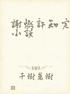 谢燃许知完结版小说