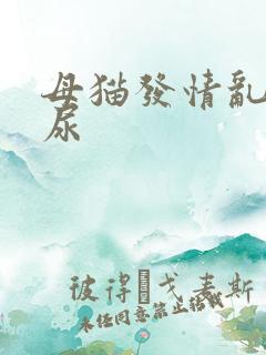 母猫发情乱拉乱尿