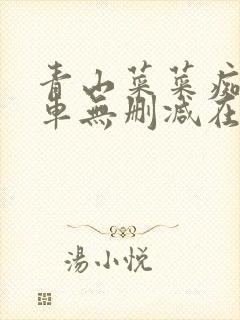 青山菜菜痴迷电车无删减在线播放