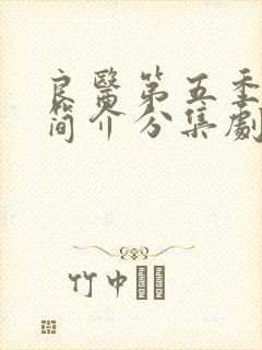良医第五季剧情简介分集剧情