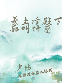 惹上冷殿下第二部叫什么