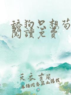 舔狗只想苟全文阅读免费