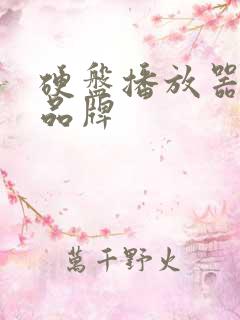 硬盘播放器十大品牌