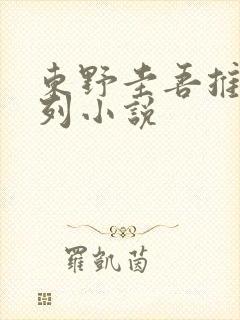 东野圭吾推理系列小说
