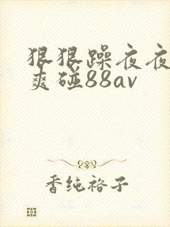 狠狠躁夜夜躁人爽碰88av