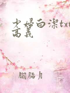 少妇白洁txt高义