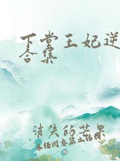 下堂王妃逆袭记合集