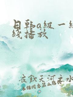 日韩a级一级在线播放