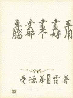 专业画画平板电脑哪个好用