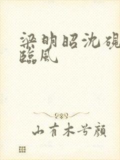 梁明昭沈砚卿谢临风