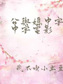 公与媳中字hd中字电影