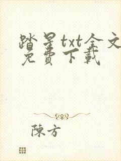 踏星txt全文免费下载