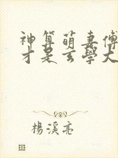 神算萌妻傅太太才是玄学大佬小说