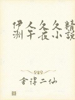 伊人久久精品亚洲午夜小说