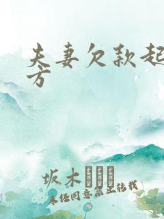 夫妻欠款起诉一方