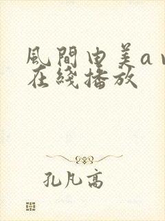 风间由美a v在线播放