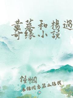 黄蓉和杨过荒岛奇缘小说
