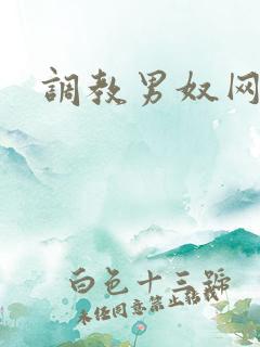 调教男奴网站