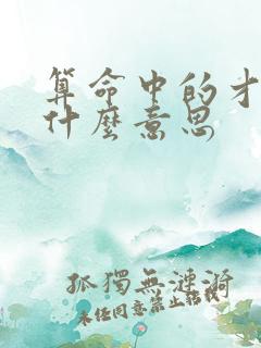 算命中的才杀是什么意思
