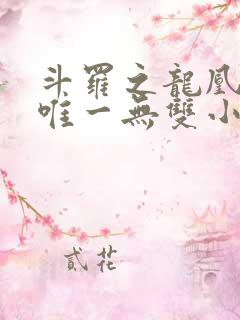 斗罗之龙凰传说唯一无双小说