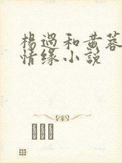 杨过和黄蓉荒岛情缘小说