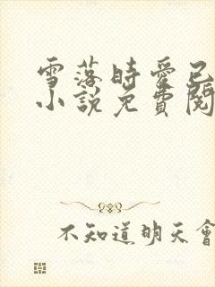 雪落时爱已落幕小说免费阅读全文