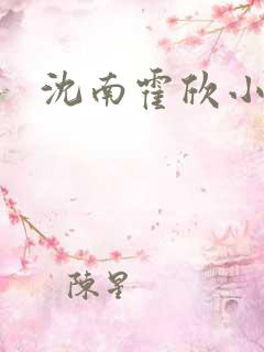 沈南霍欣小说