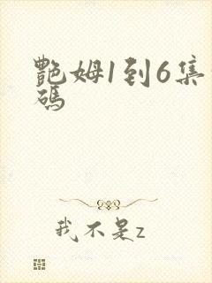 艳姆1到6集转码