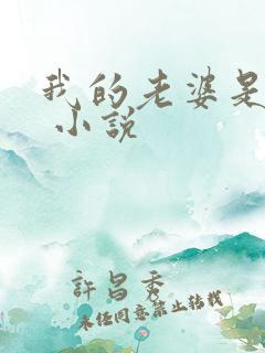 我的老婆是狐仙 小说