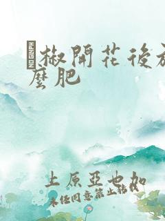 辡椒开花后施什么肥