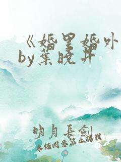 《婚里婚外》 by叶晓井