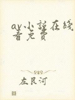 av小说在线观看免费