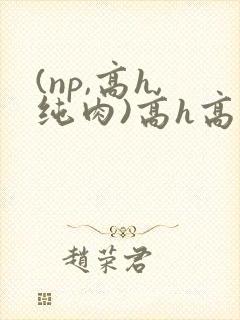 (np,高h,纯肉)高h高辣h