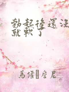勃起后还没插入就软了