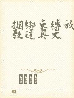 捆绑束缚放置调教道具文