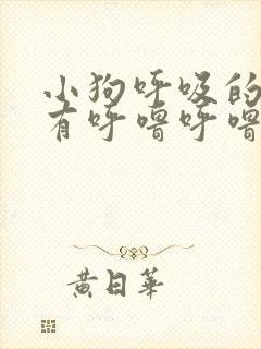 小狗呼吸的时候有呼噜呼噜的声音