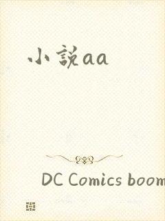 小说aa