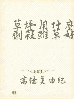 草坪用什么除草剂杀杂草好