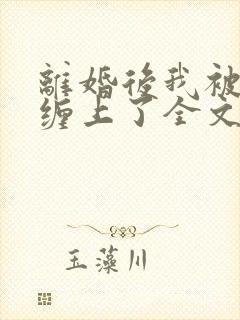 离婚后我被前夫缠上了全文