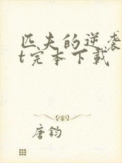 匹夫的逆袭txt完本下载