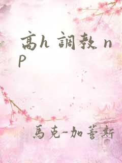 高h 调教 np