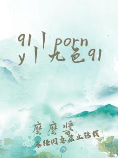 91丨porny丨九色91