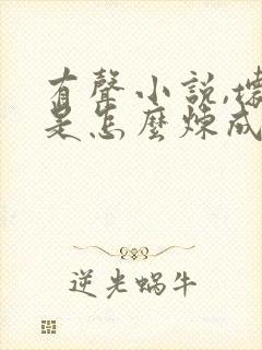 有声小说,坏蛋是怎么炼成的3