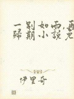 一别如雨,再无归期小说免费阅读