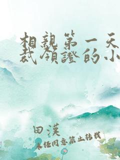 相亲第一天与总裁领证的小说