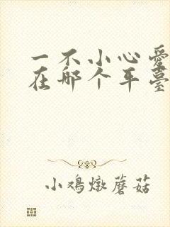 一不小心爱上你在哪个平台播放
