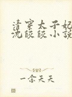 清穿太子妃康熙沈皎皎小说4
