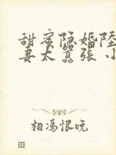 甜蜜隐婚陆少宠妻太嚣张 小说